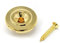 Vintage Forge Gold Tall Round Slotted String Retainer Guide Tree for Fender Precision Jazz Style Bass Guitars and Others with Screw BSR10-GLD