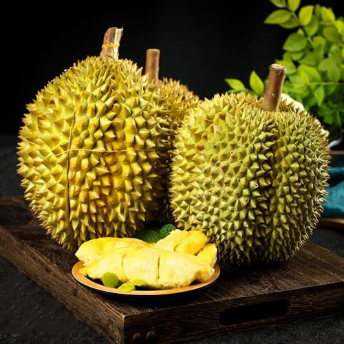 40 Pc Acquistare Semi Di Frutta Durian - Alberi Da Frutto Colonnari, Piante Esotiche Resistenti Semi Del Frutto Del Durian, Semi Di Frutta, Piante Resistenti All'Inverno Per Balconi