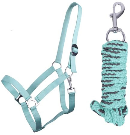 ARBO-INOX Halfter-Set Beginner de lux - Halfter + Führstrick - graue Akzente - verstellbar (Pony, Ice Green)