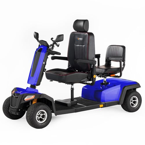 VELECO SHARPY TWIN – Veicolo elettrico a quattro ruote per 2 persone – motore potente e batteria a lunga durata – due posti (Blu)