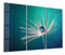 DEQORI Glasbilder Acrylglas | Motiv Inszenierte Wasserperle | horizontal 3-teilig 150x100 cm | große XXL Deko | Wandbilder für Wohnzimmer, Schlafzimmer, Flur & Küche | moderne Wanddeko