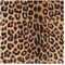 Wisafory Leopardenmuster Stoff 100x150cm Samt Patchwork Polsterstoff Wilder Dschungel Tiere Muster Dekostoff zum Quilten Satinstoff Nähenstoff Meterware für DIY Basteln Nähen Deko 5#