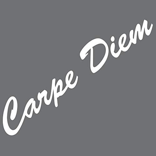 GreenIT 20cm Carpe Diem Schriftzug Aufkleber Tattoo Deko Folie Wandtattoo für Auto Wand Tür Fenster (weiß)