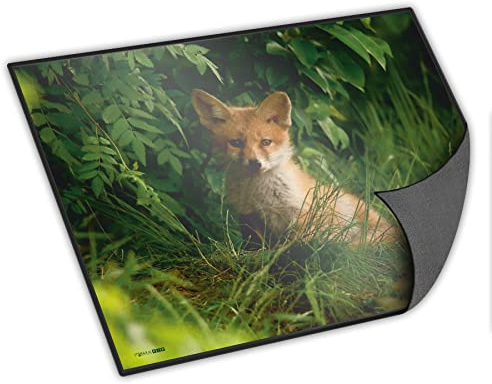 itenga Schreibtischunterlage mit Tiermotiv abwischbar rutschfest glatt 40x53cm Kunststoff Schreibunterlage (Motiv Fuchs)