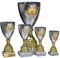 eberin · Wanderpokal · Metall Pokal Anneke · Kelchpokal Silber-Gold · Pokal mit Wunschtext und auswählbarem Motiv-Emblem · Größe 37,3 cm