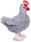 lilizzhoumax Huhn Kuscheltier 20cm Hühner Spielzeug Plüschtier Kawaii Realistische Geflügel Geschenk für Kinder Babys Weiches Niedliches Stofftier Spielen Weihnachten Tolle Geschenkidee