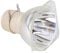 BTsan SP-LA-MP-077 Replacement Projector Lamp/Bulb for Info-cus IN3924/IN3926/IN3920