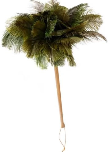 QQNQQ Plumeau, plumeau léger, plumeau à Plumes, plumeau ménager, Dieux du Nettoyage