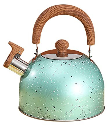 Vintage Stainless Steel Whistling Tea Kettle - Art Line Water Teapot Boiler in Black and Green