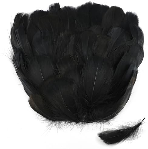 SUNRIZ Natürliche Federn 8-12cm, 300 Stück, Feder für Basteln, Hochzeit Deko, Fasching, Ostern, Masken, Schulhandwerk