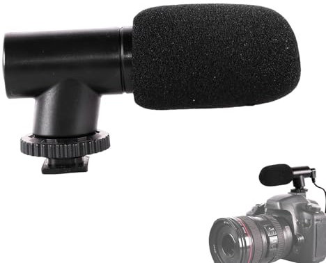 Microphone pour caméra vidéo, petit coupe-vent, appareil d'enregistrement portable, compatible avec les téléphones et ordinateurs, idéal pour les entretiens, les vlogs, les conférences