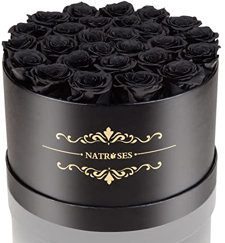 NATROSES 27 Stück Forever konservierte Rosen in einer Box, konservierte Blumen für Lieferung Geburtstag, Blumen Geschenke für Muttertag, Schwarz