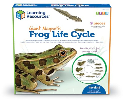 Learning Resources Giant Magnetic Frog Life Cycle, Early Science Activity, Classroom Resources, Key stage 1 & 2, Activity Guide Included