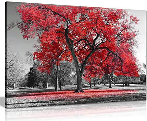 Large Tree Red Leaves Black White Nature Canvas Wall Art Picture Print Home Decor 91x61cm (36x24in)