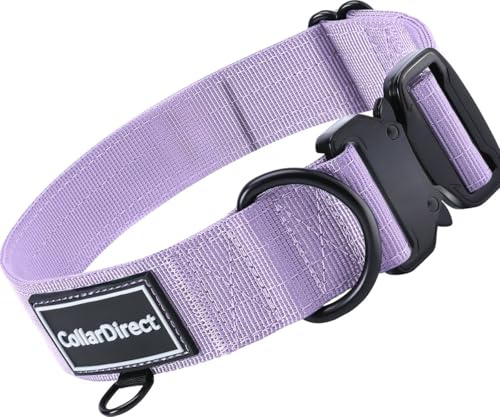 Robustes Hundehalsband für Große & Mittelgroße Hunde – Verstellbar, Doppellagiges Nylon, Metallschnalle, Reißfest & Ideal für Aktive Hunde (Flieder, Groß (38-58 cm))