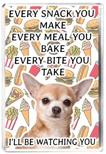 Every Snack You Make - Chihuahua - Funny Pet Owner Quote - Dog Mum/Dad - Fridge Magnet - Novelty Gift