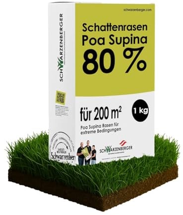 Samen Schwarzenberger I Poa Supina Rasensamen I 1 kg für 200 m² I 80% Poa Supina Anteil I für schattige & stark beanspruchte Flächen I dichte Grasnarbe I Schattenrasen