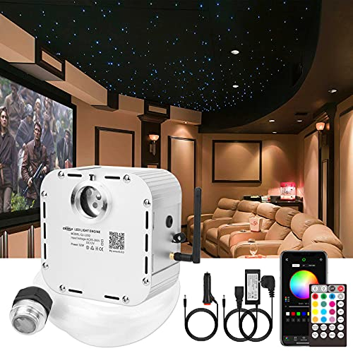 CHINLY Bluetooth 32W RGBW Twinkle LED Glasfaser Stern Deckenleuchten Kit APP/Fernbedienung 800pcs * 0,75mm * 4m + 10 Kristalle für zu Hause/Auto
