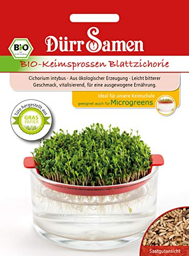 Dürr Samen 4470 Keimsprossen Blattzichorie (Bio-Keimsprossen)