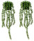 Plantas Colgantes Artificiales en Maceta, 2 Piezas Plantas Colgantes Suculentas Artificiales Cadena Perlas Falsas, Planta Colgante Simulación, Plantas Colgantes Falsas Verdes para Interior Exterior