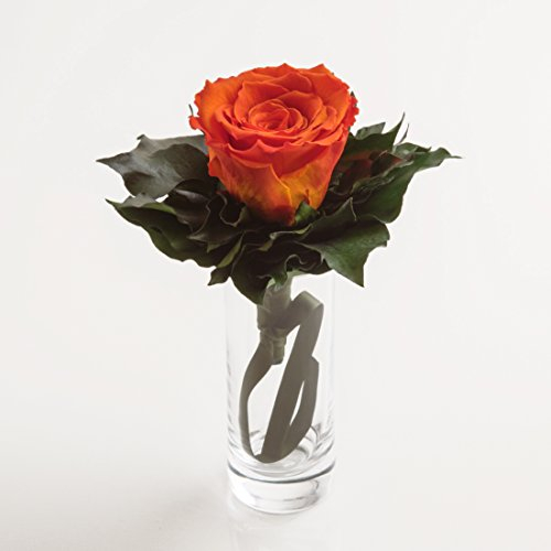 Blumenstrauß langhaltend Ewige Rose konserviert mit Glasvase haltbar 3 Jahre von ROSEMARIE SCHULZ GmbH Heidelberg (Orange)