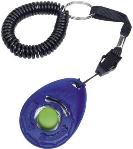 Nobby Clicker mit Spiralschlaufe 6 x 4 cm