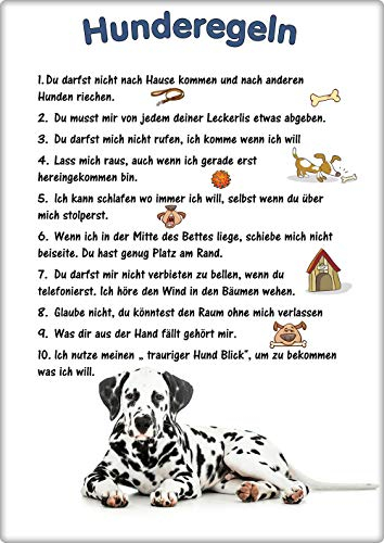 Merchandise for Fans Blechschild/Warnschild/Türschild - Aluminium - 15x20cm - - Hunderegeln - Motiv: Dalmatiner- 02