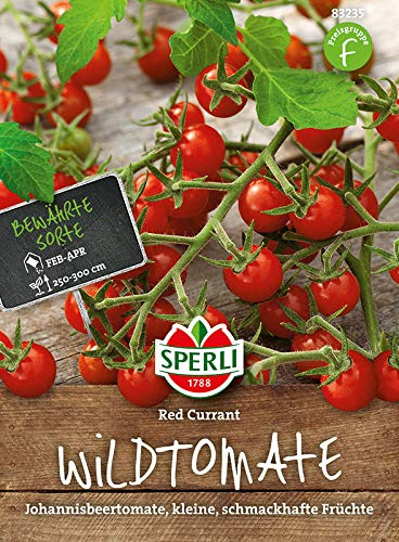 Tomate, Red Currant, Johannisbeertomate