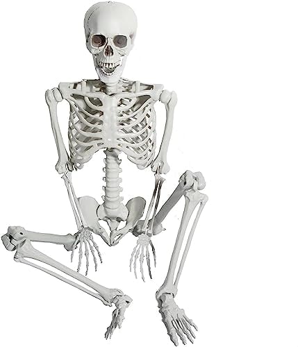 AOFOX 165cm Halloween Lebensgröße Skelett Ganzkörper menschliche Knochen mit beweglichen Gelenken für Party Requisite Gruselfriedhof Spukhaus Rasenhof Dekor