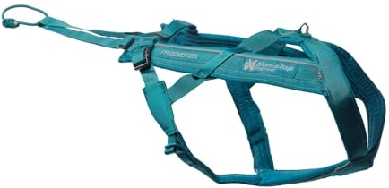 Non-stop dogwear Freemotion Geschirr 5.0, Blaugrün (5)