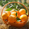 Semi di arancio resistente, semi di arancia da succo giardino decorativo, facile da piantare alberi da frutto colonnari, semi di alberi vaso bonsai, albero per giardino alberi da 100pcs