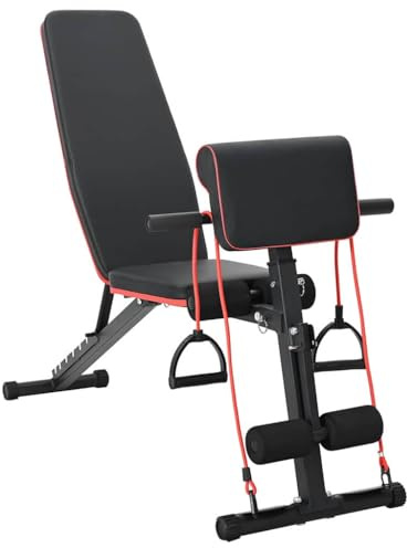 vidaXL Hantelbank Schwarz 131 x 41 x 100 cm Pulverbeschichteter Stahl | Mehrere Neigungsstufen für dein individuelles Workout, Dicke Schaumstoffpolsterung für ein angenehmes Training,