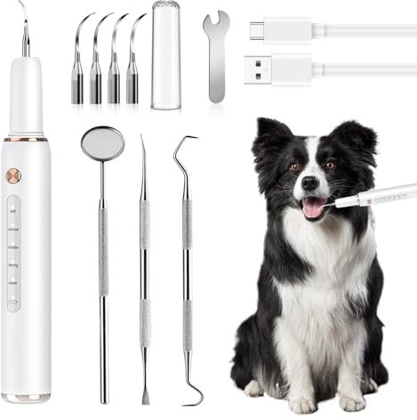 PORFOYO Zahnsteinentferner Hund, Zahnreiniger Für Haustiere, Zahnreiniger Ultraschall Für Hund Und Katze Mit Led-Licht, Ultraschall Zahnsteinentferner Ipx6 Mit 2 Reinigungsköpfe, 5 Modi