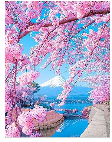 DCIDBEI Peinture Diamant Paysage Nature 40 x 50 cm - Rose et Cerise Japonaise Cicegi - Diamond Painting Fleur de Cerisier Japon