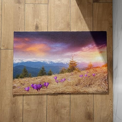 CEVAN Fußmatte Aussen Fussmatte Aussen Lustig Wiese Schmutzfangmatte rutschfest Fussmatte New York Weiche Flanell-Oberfläche, Anpassbares Design, rutschfeste Fußmatten 40x60cm