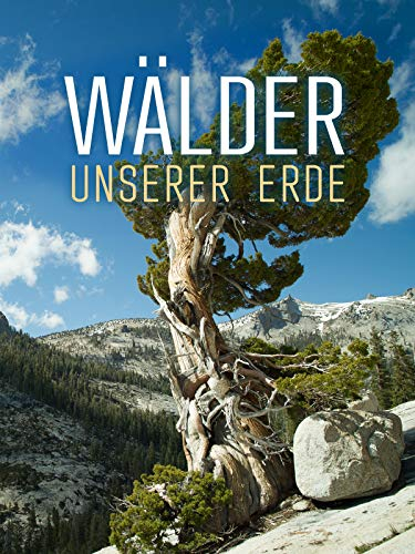 Wälder unsere Erde