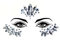 luoshaPUCY Gesicht Edelsteine Temporäre Tattoos, Glitzer Schmucksteine Gesicht Selbstklebend Juwelen Kristalle Strasssteine Temporäre Tattoos für Karneval Schminke, Musikfestival, Parties (Typ47)