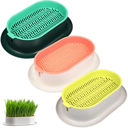 Kisangel 3pcs Cat Grass Planter Hydroponic Cat Grass Box Cat Catnip Trays for Soilless Nursery