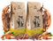Coffee Broastery Coffee Beans Set 2x1kg | Brazil Cerrado | Brazilian Coffee | Speciality Coffee | Freshly Roasted | Artisan Coffee Roastery | Fresh Coffee | Coffee Bags | Coffee Beans 2000g