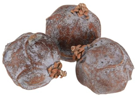 Wacholderzapfen Syrischer Wacholder Naturdeko Ø1,5–2,5cm 1kg - Perfekt für Weihnachten & Basteln