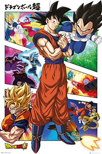 Foto/Dragon Ball Super – Panels – 61 x 91,5 cm