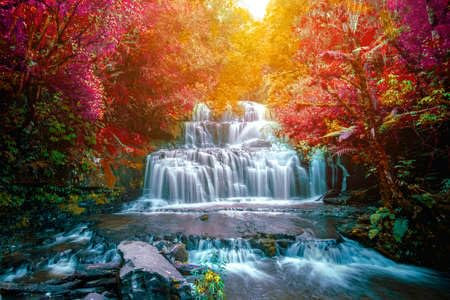 adrium Poster-Bild 140 x 90 cm: Schöner Herbstwasserfall in Purakaunui Falls, Südinsel, Neuseeland. Langzeitbelichtung Fotografie. (131695870)