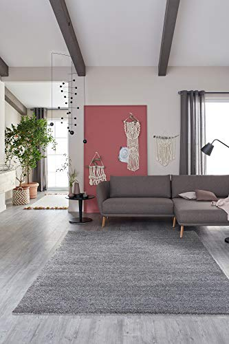 Schöner Wohnen Kollektion Pflegeleichter Wohnzimmer Teppich Pure — Antistatischer Flur und Kurzflor Teppich (80x150cm, Silber)