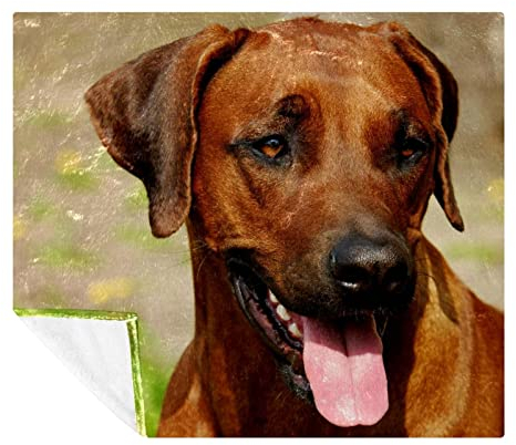 Rhodesian Ridgeback Fleece-Überwurfdecke für Couch, gemütlich, leicht, weiche Decken und Überwürfe für Erwachsene und Kinder, 150 x 130 cm