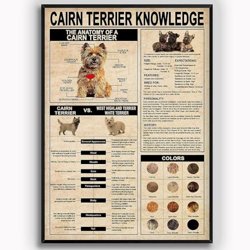 Cairn Terrier Knowledge Metal Tin Signs Vintage Infographic Plaque Wall Decoration Posters Kennel Science Dog Lovers Home Pet Shop Farmhouse Classroom Coffee Kitchen Garage 8x12 Inches