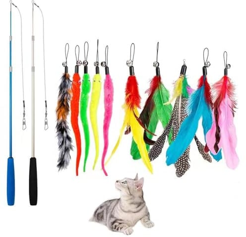 Sitbfoam Set di 12 giocattoli per gatti, giocattolo a forma di piuma per gattini e gatti, giocattolo interattivo