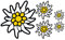 Aufkleber Set 5X Alpen Edelweiss Auto Camper Wohnmobil Motorrad Helm Sticker Waschanlagenfest Wetterfest