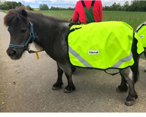 Fahrdecke für Pferde, Shetty, Pony | Abschwitzdecke Reflex | Fahrsport Pferde | Kutschenzubehör | Regen & Winddicht (Kaltblut (X-Full))