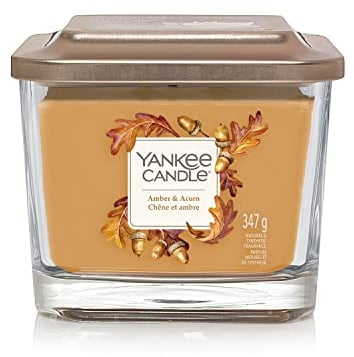 Yankee Candle Candle, Amber & Acorn, Medium