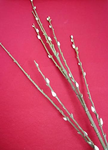 1 Weidenkätzchen-Zweig künstlich Braun-Weiß ca. 105 cm